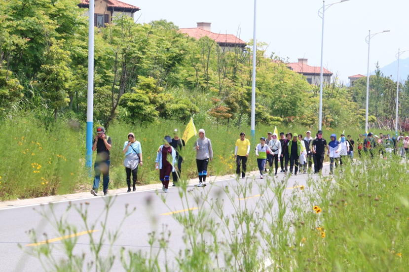 1557747700640189.png 17.png