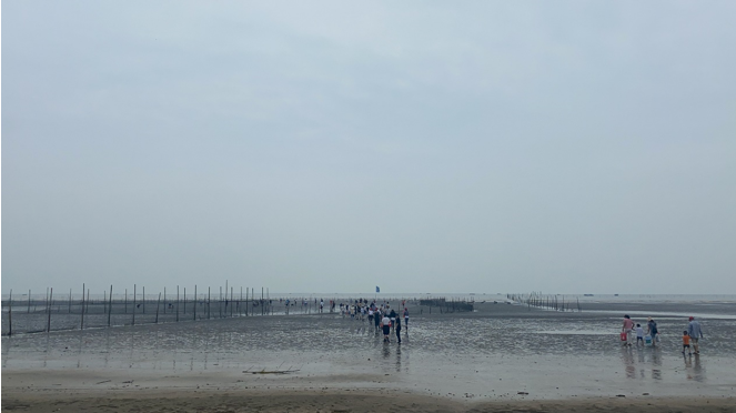 1604992811131569.png 44444.png