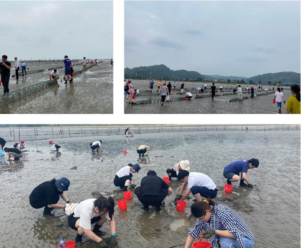 1604992882699997.png 55555.png