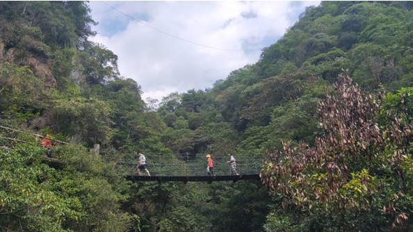 1606454592894028.png 17.png